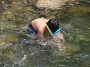 �V���m�[�P��