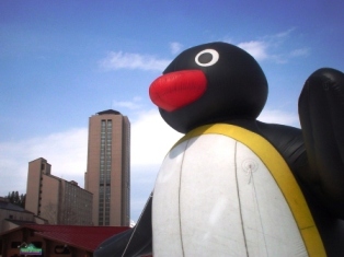 ナスパ PINGU